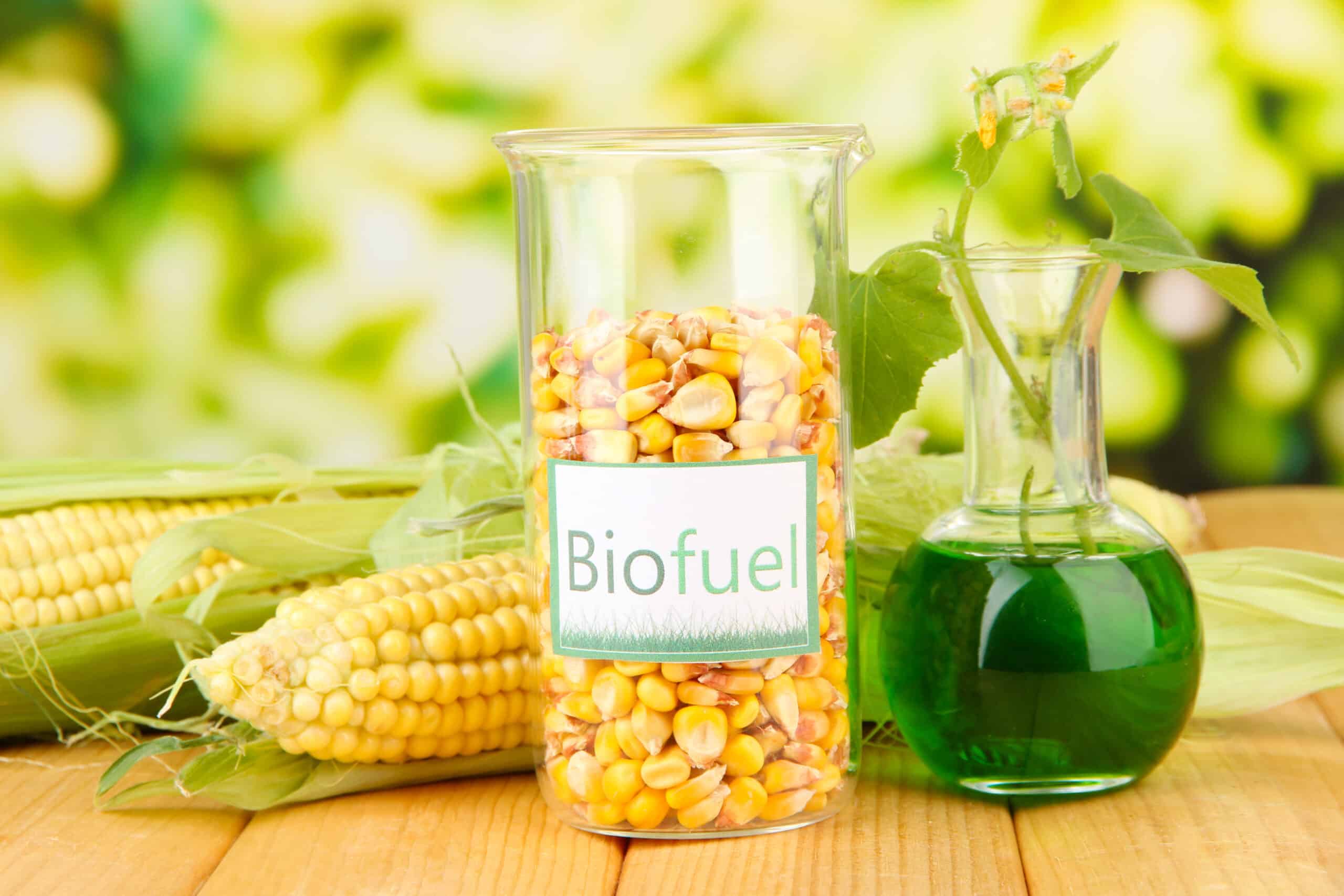 Home Biofuels